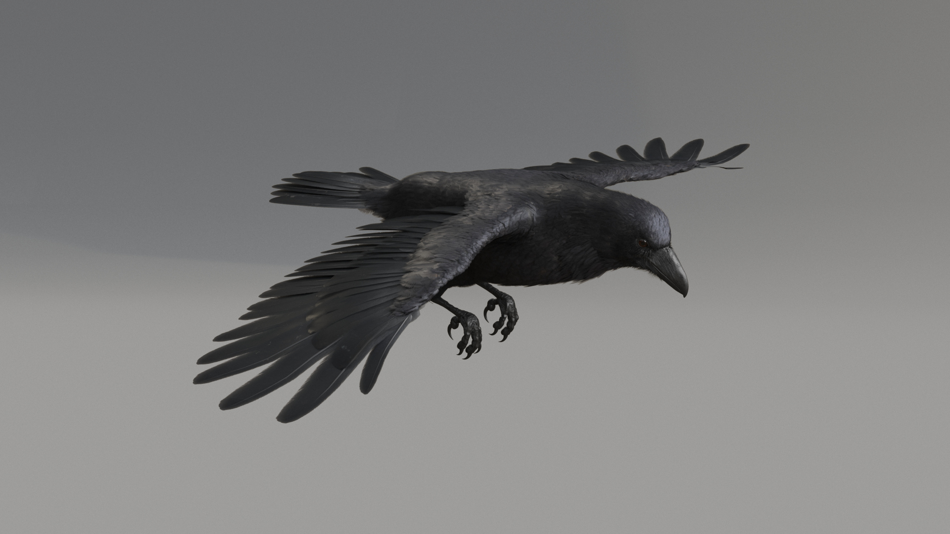 Raven Animated 3D model https://p.turbosquid.com/ts-thumb/ZR/ptHsx6/yX/0000/jpg/1640090050/1920x1080/turn_fit_q99/312e7d9f191cc5259dff9baba192b8c6e8b9791a/0000-1.jpg