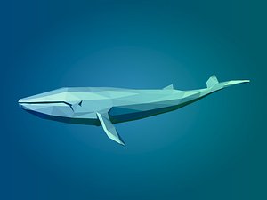 3D LowPoly Blue Whale model