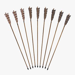 Archery Arrows Set