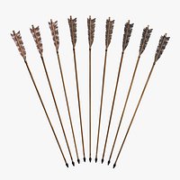 Archery Arrows Set