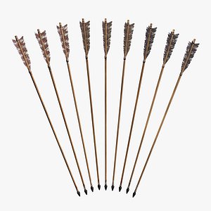 Archery Arrows Set