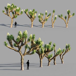 3D tree model