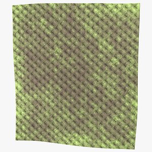 Dirty Kitchen Rag Green 3D