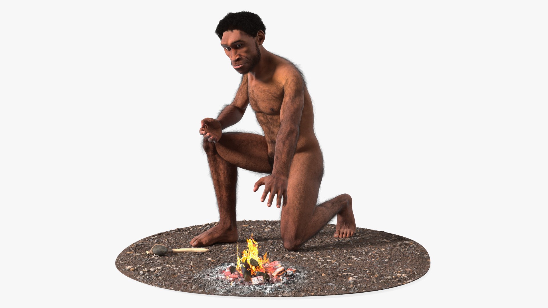 Homo Erectus by Bonfire Fur 3D model preview