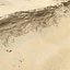Sandy Cliff