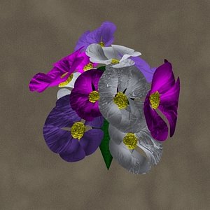 3d bouquet zipped model