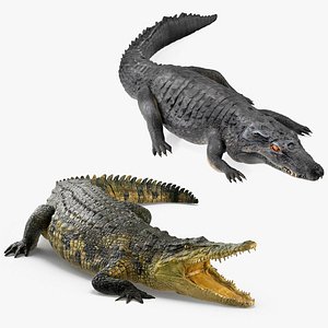 Rigged Crocodiles Collection for Maya 3D model