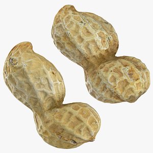 Peanut Shell Collection