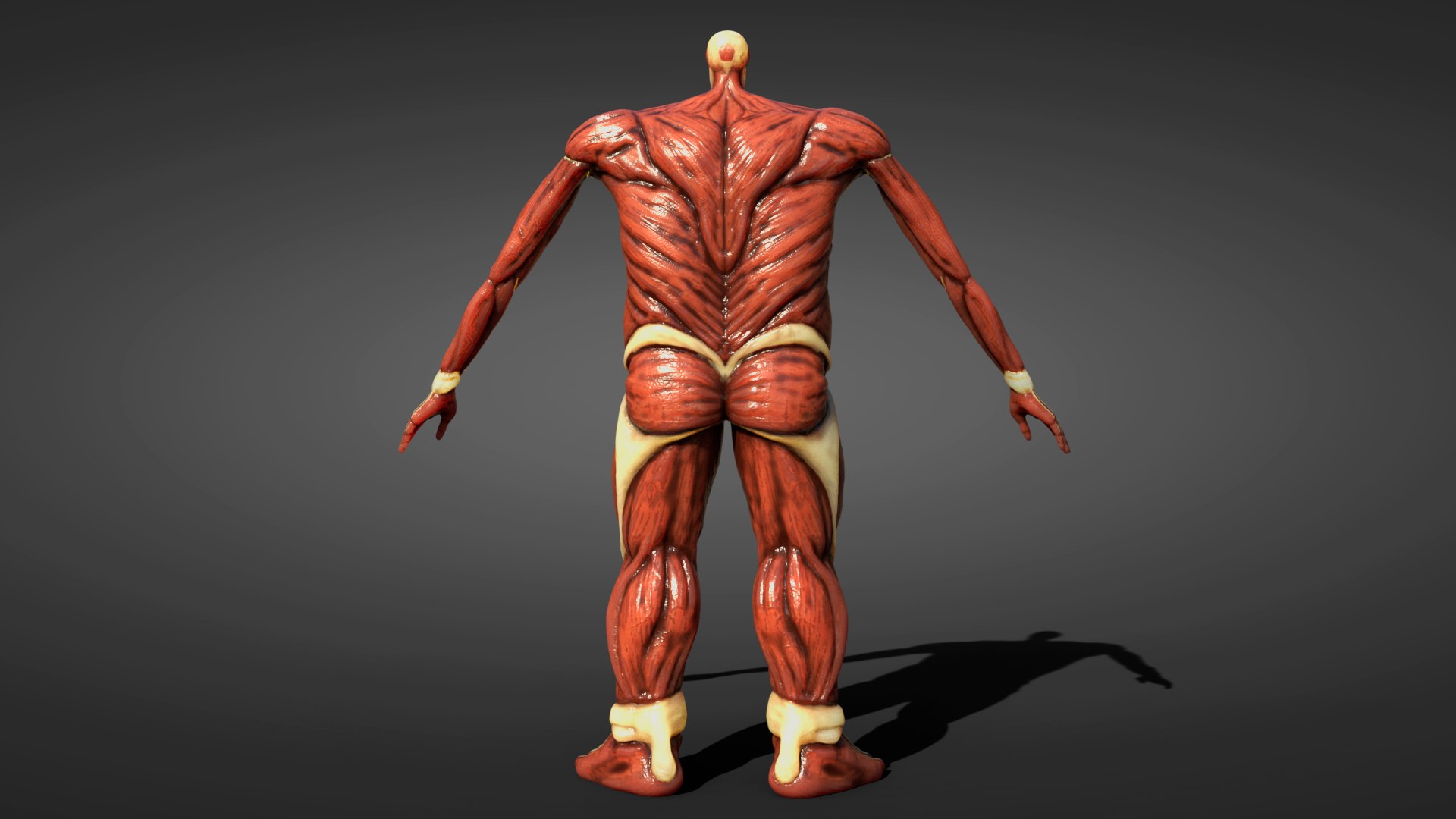 Colossal Titan - Download Free 3D model by Sidaivan (@Sidaivan) [e031a57]