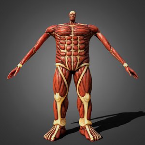 Colossal titan 3D model