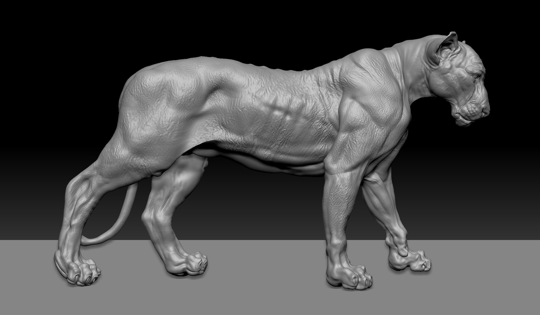 Lion zbrush 3D model - TurboSquid 1618748