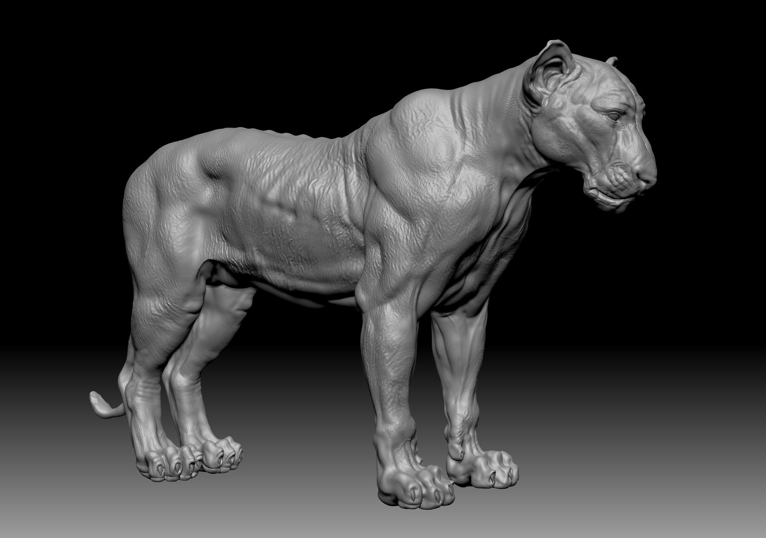 Lion zbrush 3D model - TurboSquid 1618748