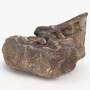 Essential Scanned Rock 01 StemCell 3D model