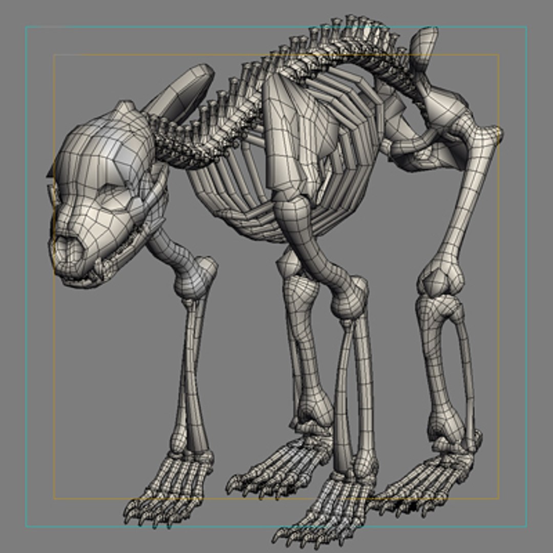 bear skeleton max https://p.turbosquid.com/ts-thumb/ZS/x8ynnx/gTnOpTAw/wire1/jpg/1260554773/1920x1080/fit_q87/edbe3aceea6489de78ef0a3631549b8ab39dfe96/wire1.jpg