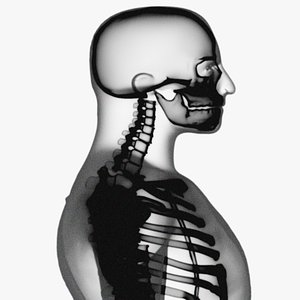 x-ray skeleton xray body human obj
