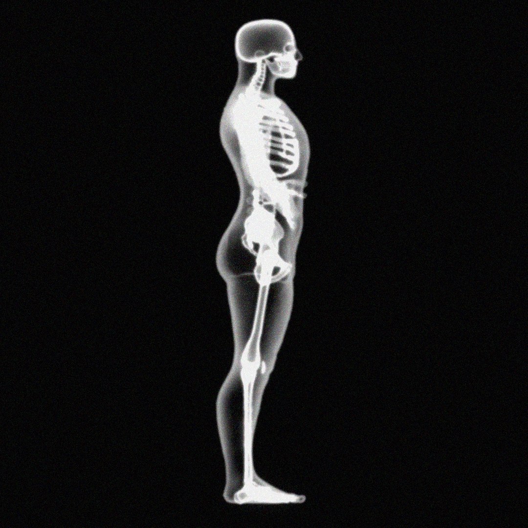 x-ray skeleton xray body human obj https://p.turbosquid.com/ts-thumb/ZT/3agAV1/CeM2ITOa/4/jpg/1316145941/1920x1080/fit_q87/5ba266fae95c81377a1876f9ccefcdf87012a749/4.jpg