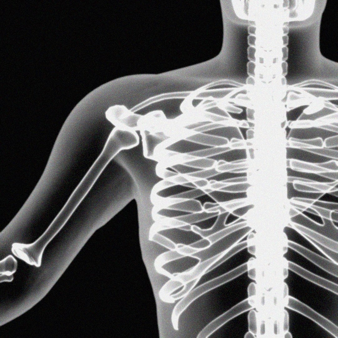 Xray Skeleton Xray Body Human Obj