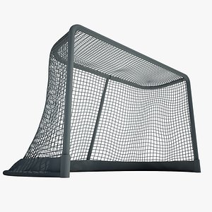 Hockey Gates model