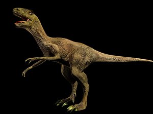 3d velociraptor raptor