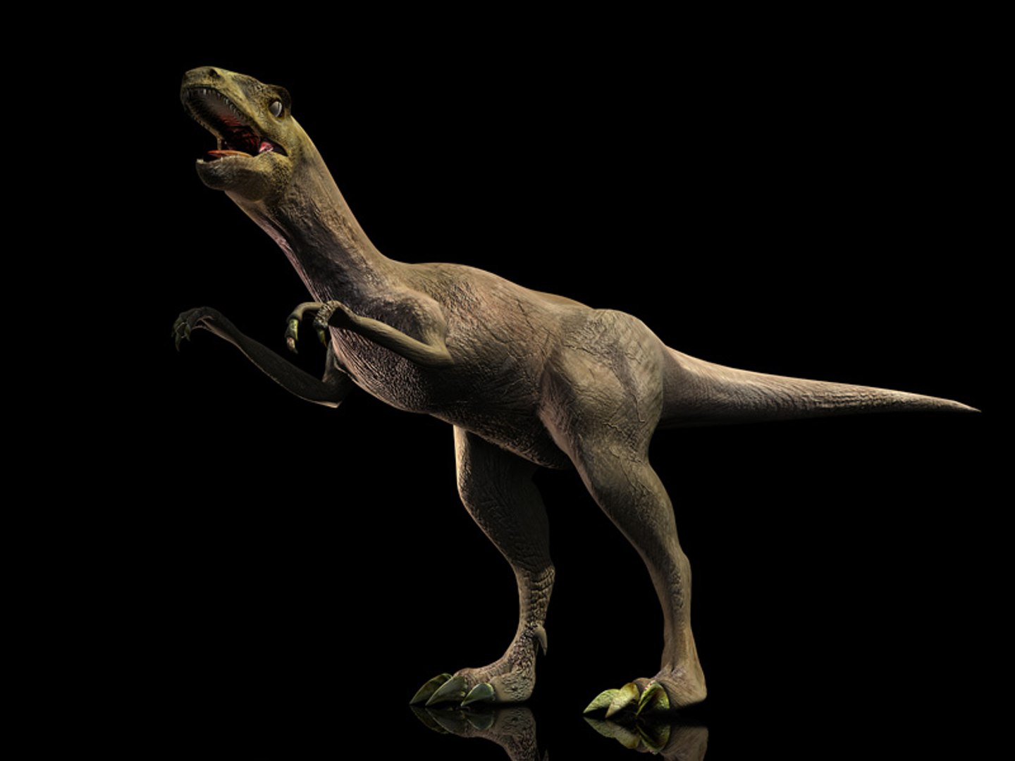 3d Velociraptor Raptor