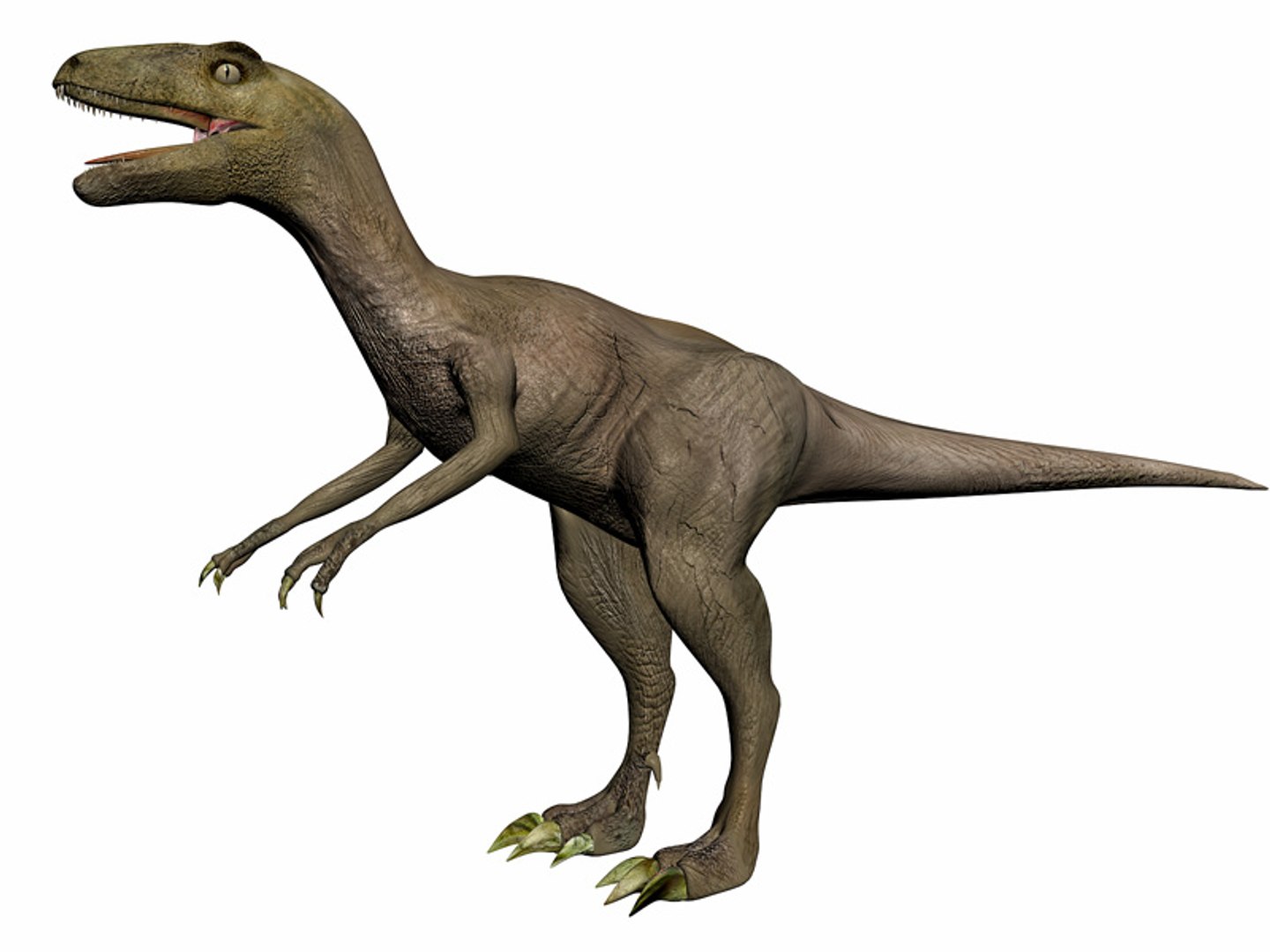 3d Velociraptor Raptor