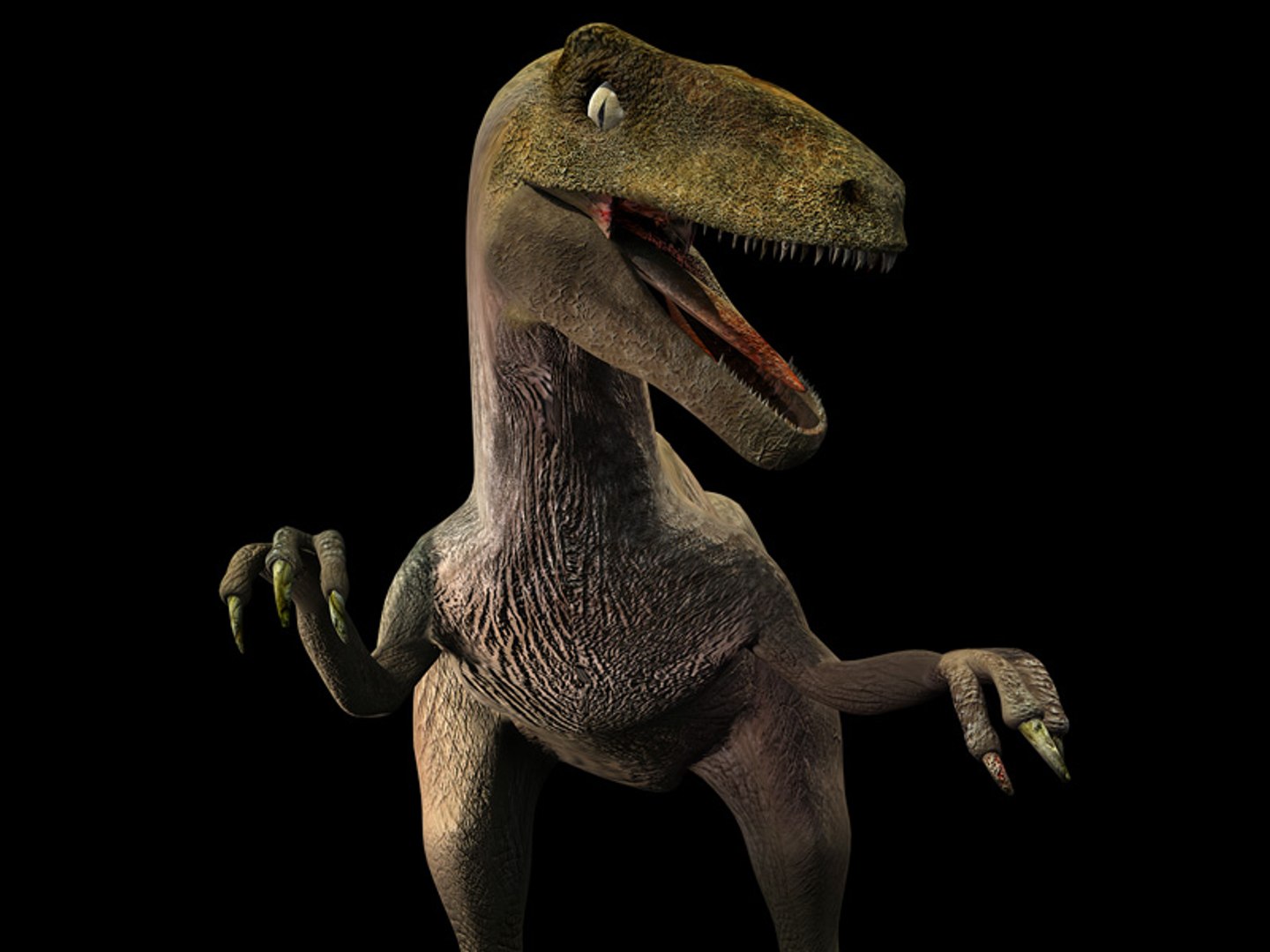 3d Velociraptor Raptor