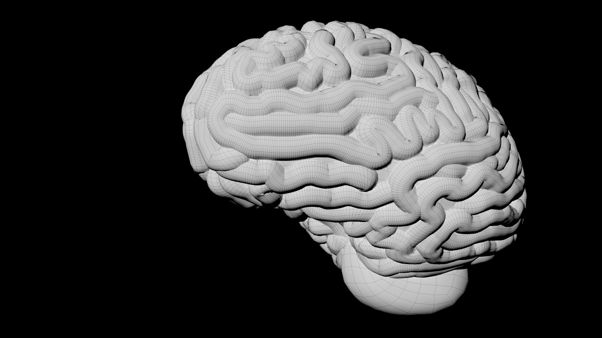 Brain 3D Model - TurboSquid 2167949