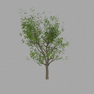 lowpoly tree
