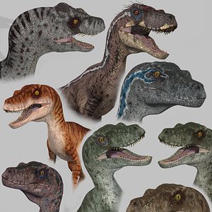 Extreme Raptor Collection - 8K