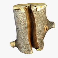 Wood Log