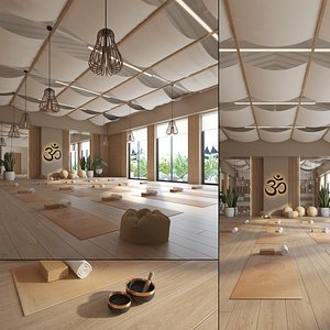 Yoga Studio Interior 3D model