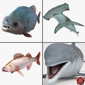 3d fishs v4 model