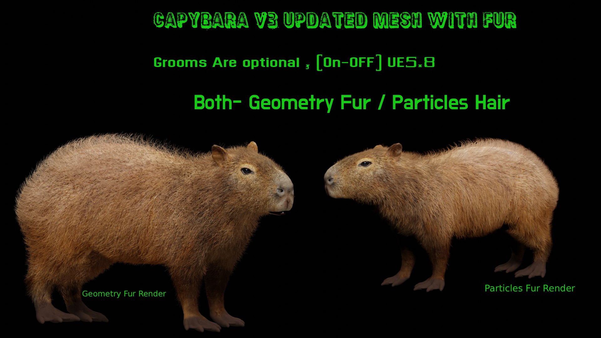 Capybara Rodent Groom 3D https://p.turbosquid.com/ts-thumb/ZU/ACnSOq/Ck/capybara_v3_g/png/1782660823/1920x1080/fit_q87/26a04845cda29405668579441a5f1dbfb89290cb/capybara_v3_g.jpg