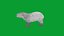 Capybara Rodent Groom