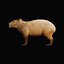 Capybara Rodent Groom