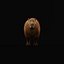 Capybara Rodent Groom