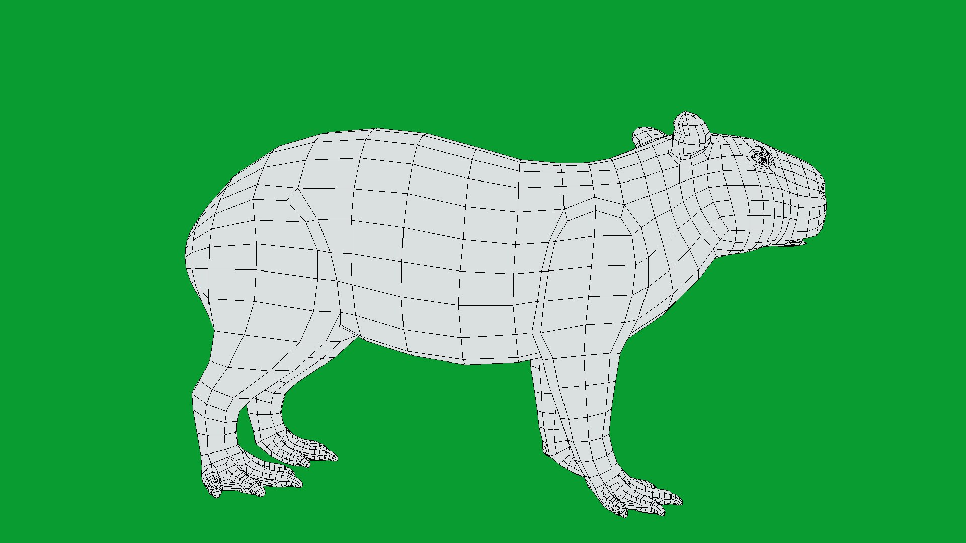 Capybara Rodent Groom 3D https://p.turbosquid.com/ts-thumb/ZU/ACnSOq/eS/greater_cabypara_rodent18/png/1782660886/1920x1080/fit_q87/ba320fe4a6a973ece0c0172a43445f31a79b8cb8/greater_cabypara_rodent18.jpg
