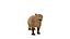 Capybara Rodent Groom