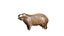 Capybara Rodent Groom