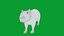 Capybara Rodent Groom