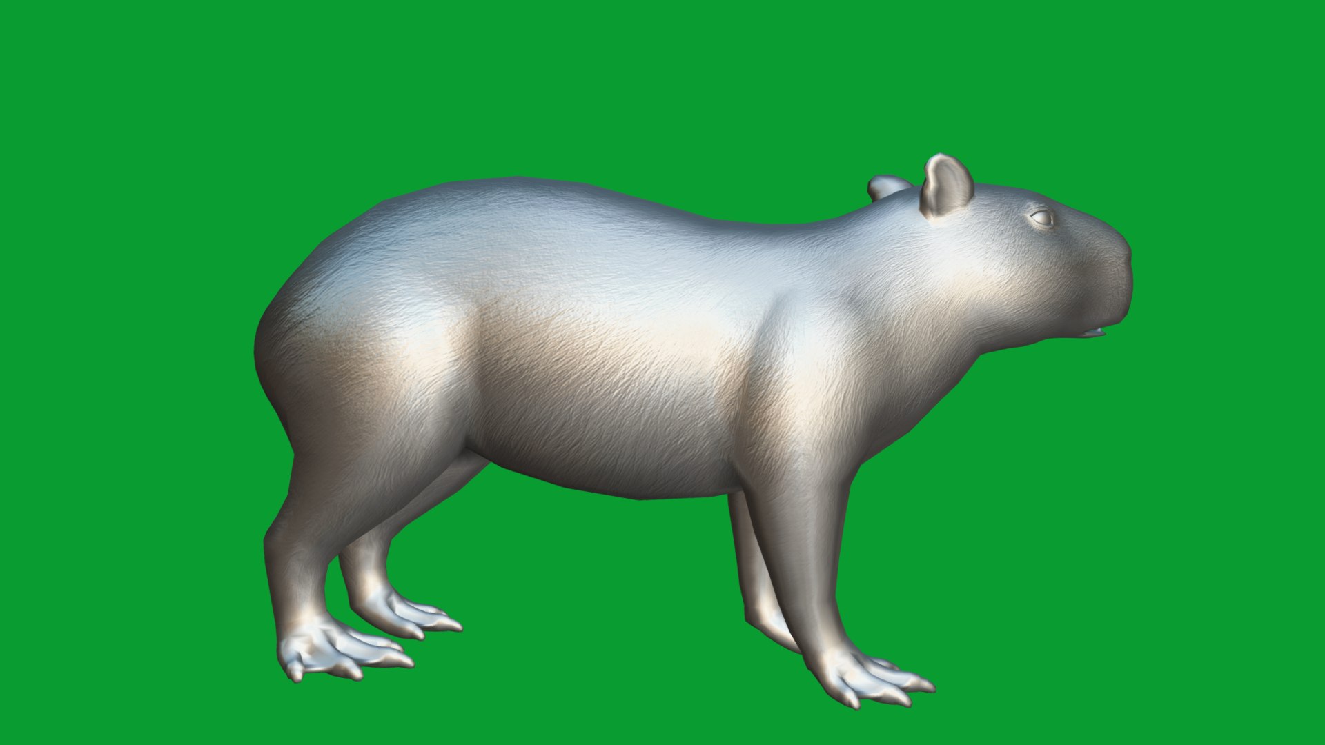 Capybara Rodent Groom 3D https://p.turbosquid.com/ts-thumb/ZU/ACnSOq/mI/greater_cabypara_rodent17/png/1782660886/1920x1080/fit_q87/7f839c6d0bb838386b559c24d85b2a48ed1f900c/greater_cabypara_rodent17.jpg