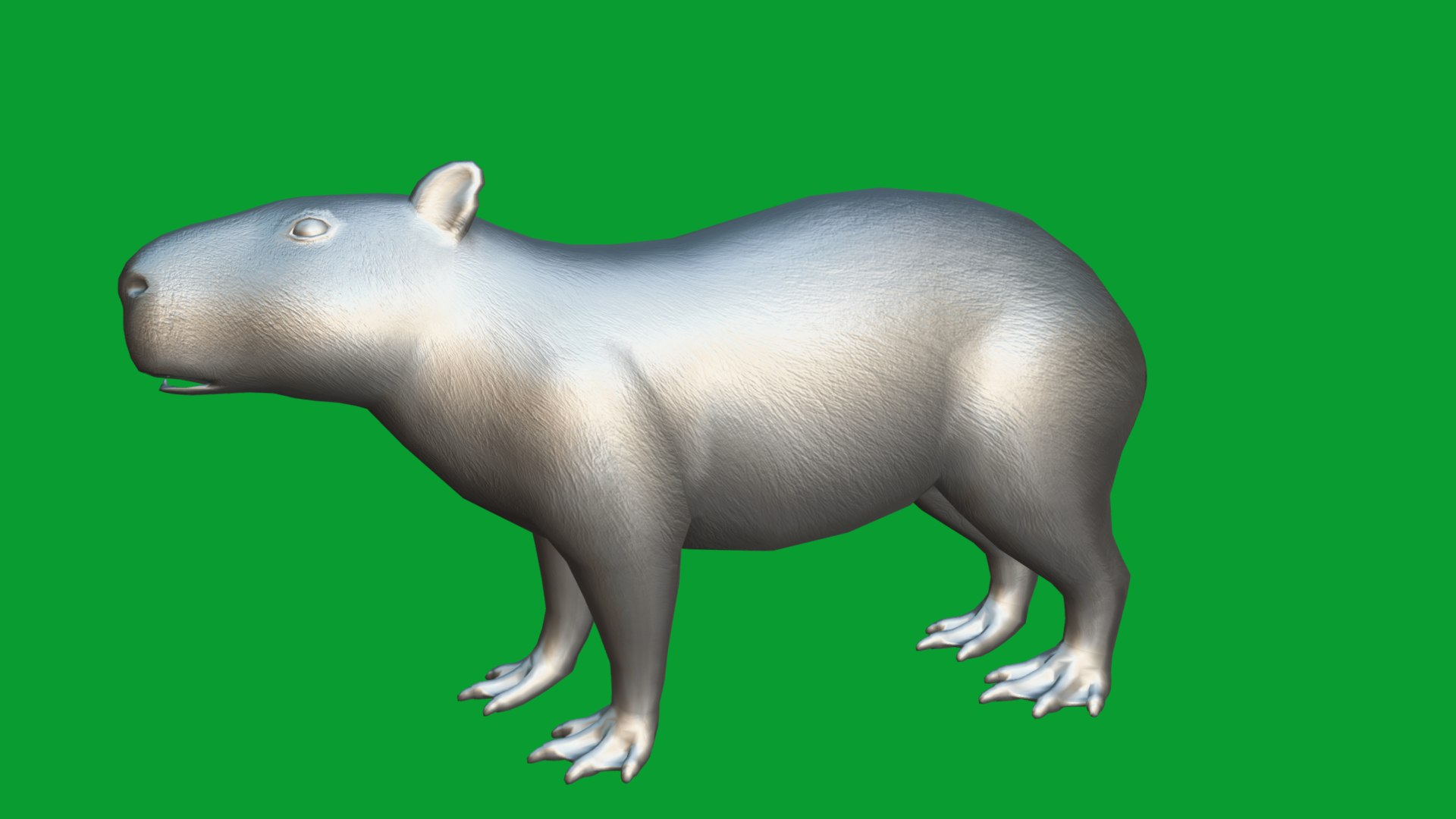 Capybara Rodent Groom 3D https://p.turbosquid.com/ts-thumb/ZU/ACnSOq/mU/greater_cabypara_rodent15/png/1782660885/1920x1080/fit_q87/2257952eacbcc31852ba91aba74045539590963e/greater_cabypara_rodent15.jpg