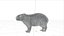 Capybara Rodent Groom