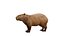 Capybara Rodent Groom