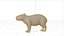 Capybara Rodent Groom