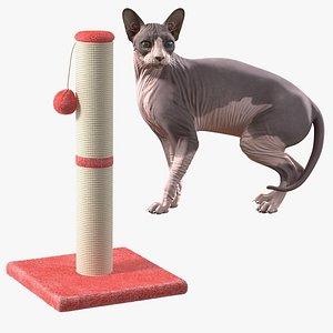 Rigged Sphynx Cat with Cat Scratching Post Collection for Maya 3D model