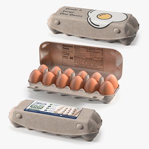Eggs in Carton Collection 3D model