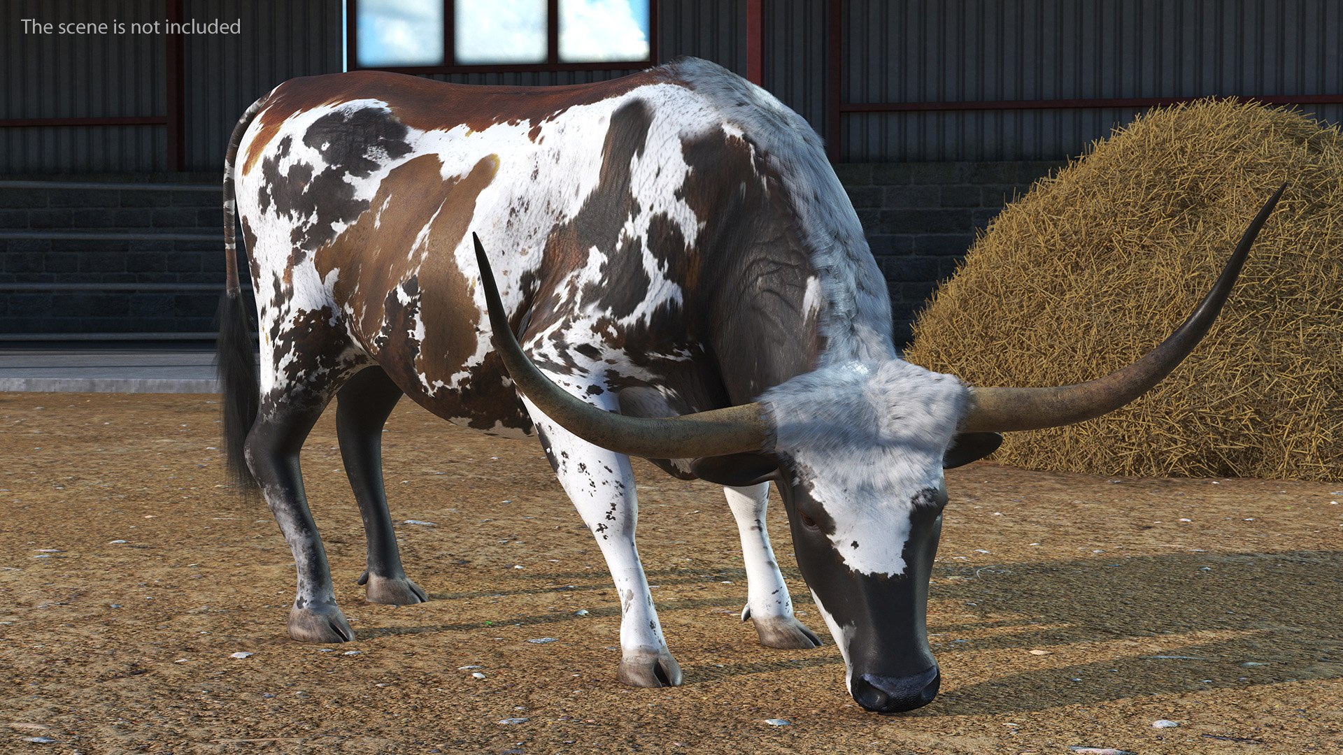 3D Texas Longhorn Mottled Brown Rigged for Cinema 4D model https://p.turbosquid.com/ts-thumb/ZU/KE5yXx/HF/texaslonghornmottledbrownriggedforcinema4dvray3dmodel016/jpg/1712794596/1920x1080/fit_q87/cc93f7d488703144573f8bed6dfc13cc2eab20e9/texaslonghornmottledbrownriggedforcinema4dvray3dmodel016.jpg
