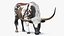 Texas Longhorn Mottled Brown Rigged for Cinema 4D