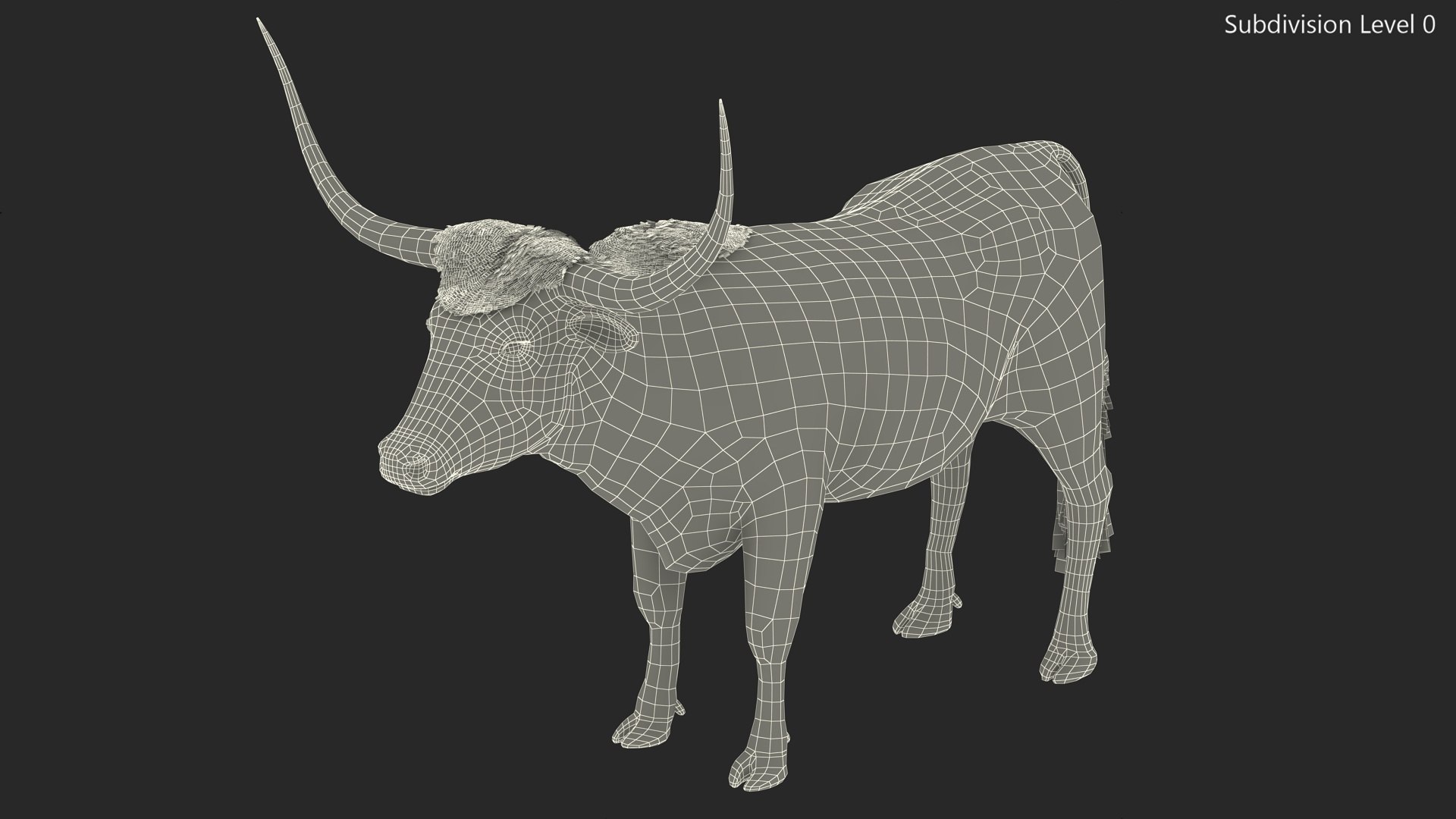 3D Texas Longhorn Mottled Brown Rigged for Cinema 4D model https://p.turbosquid.com/ts-thumb/ZU/KE5yXx/j5/texaslonghornmottledbrownriggedforcinema4dvray3dmodel036/jpg/1712794673/1920x1080/fit_q87/41ab347c88500ac27ee600b46d73617fe295f69a/texaslonghornmottledbrownriggedforcinema4dvray3dmodel036.jpg